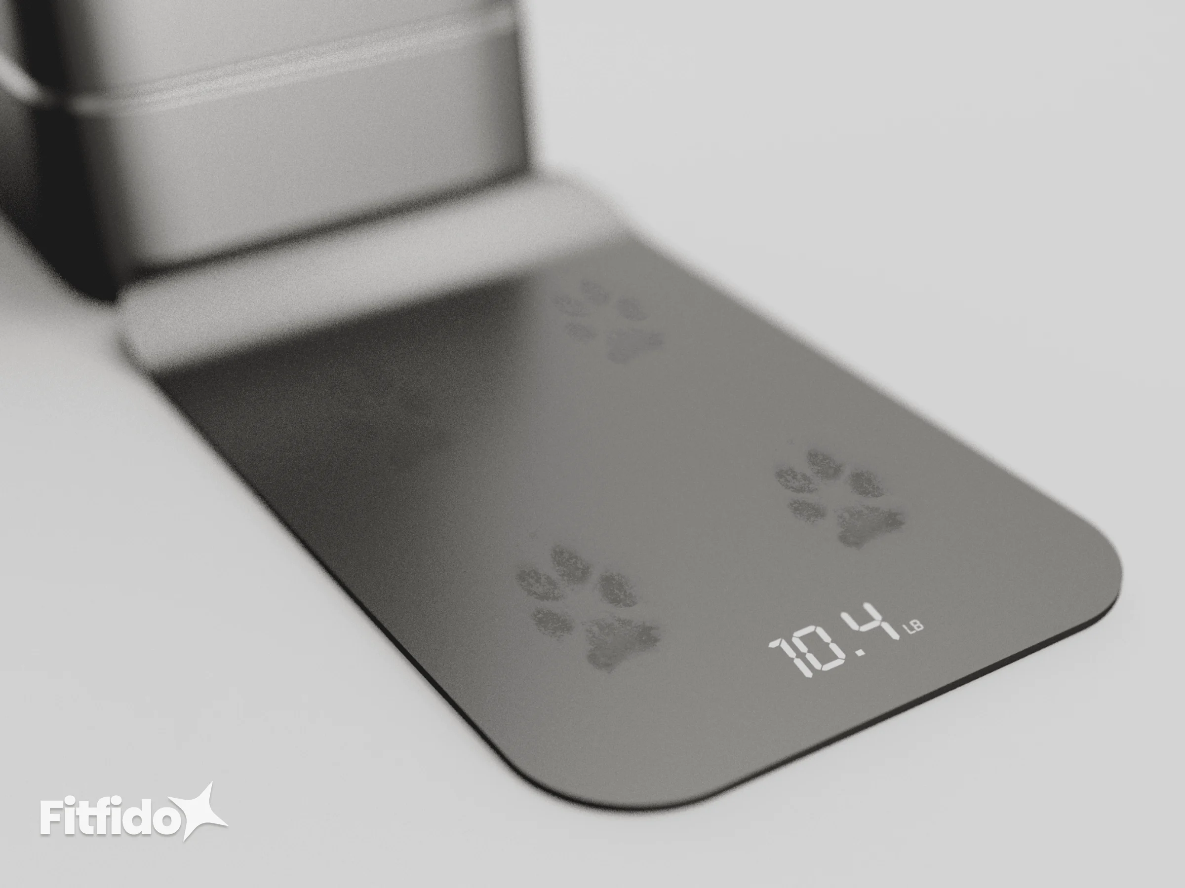 Close-up of the FitFido scale plate showing a live 10.4 lb reading.