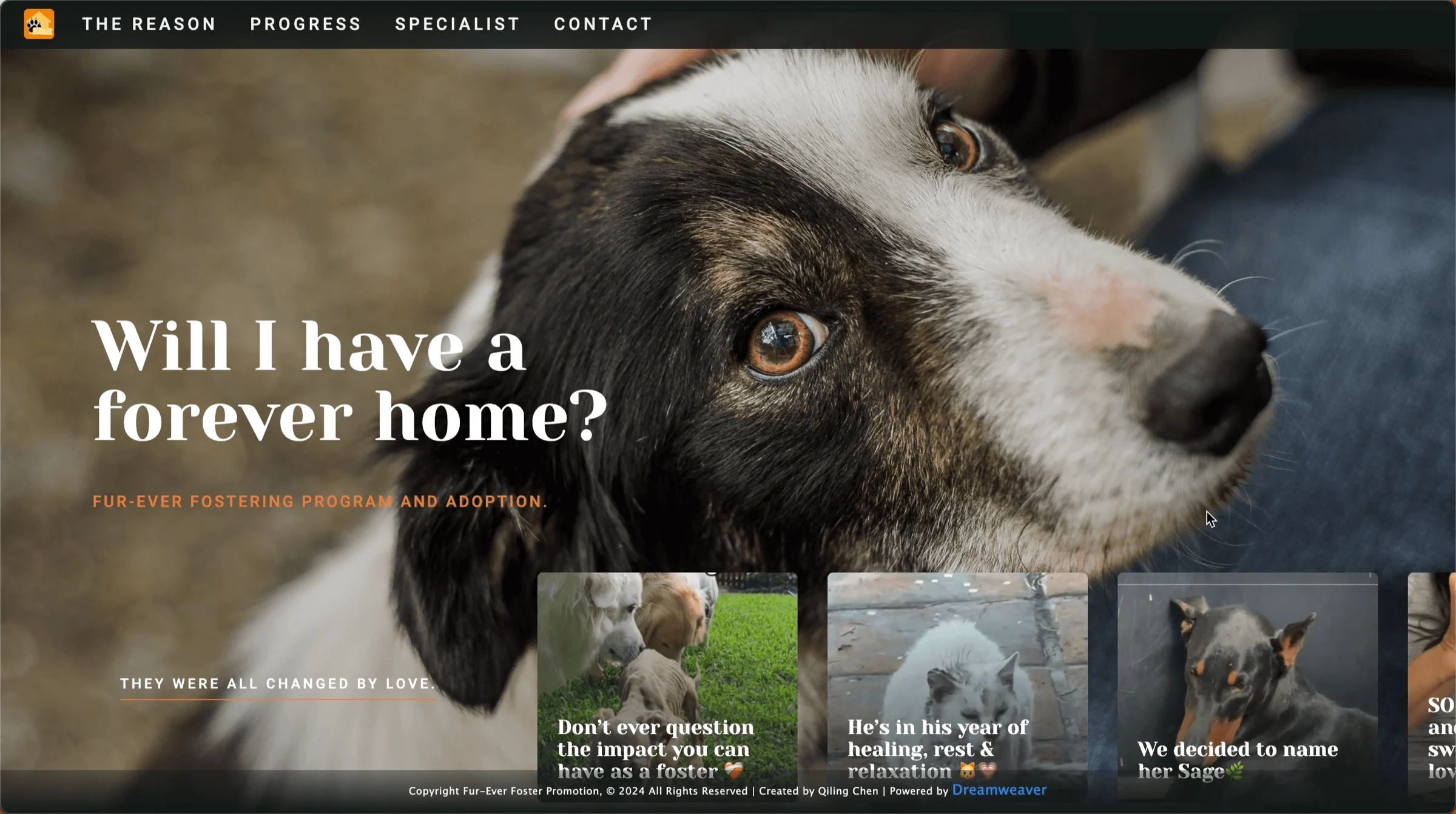 Hand-coded single-page fostering promotion website.