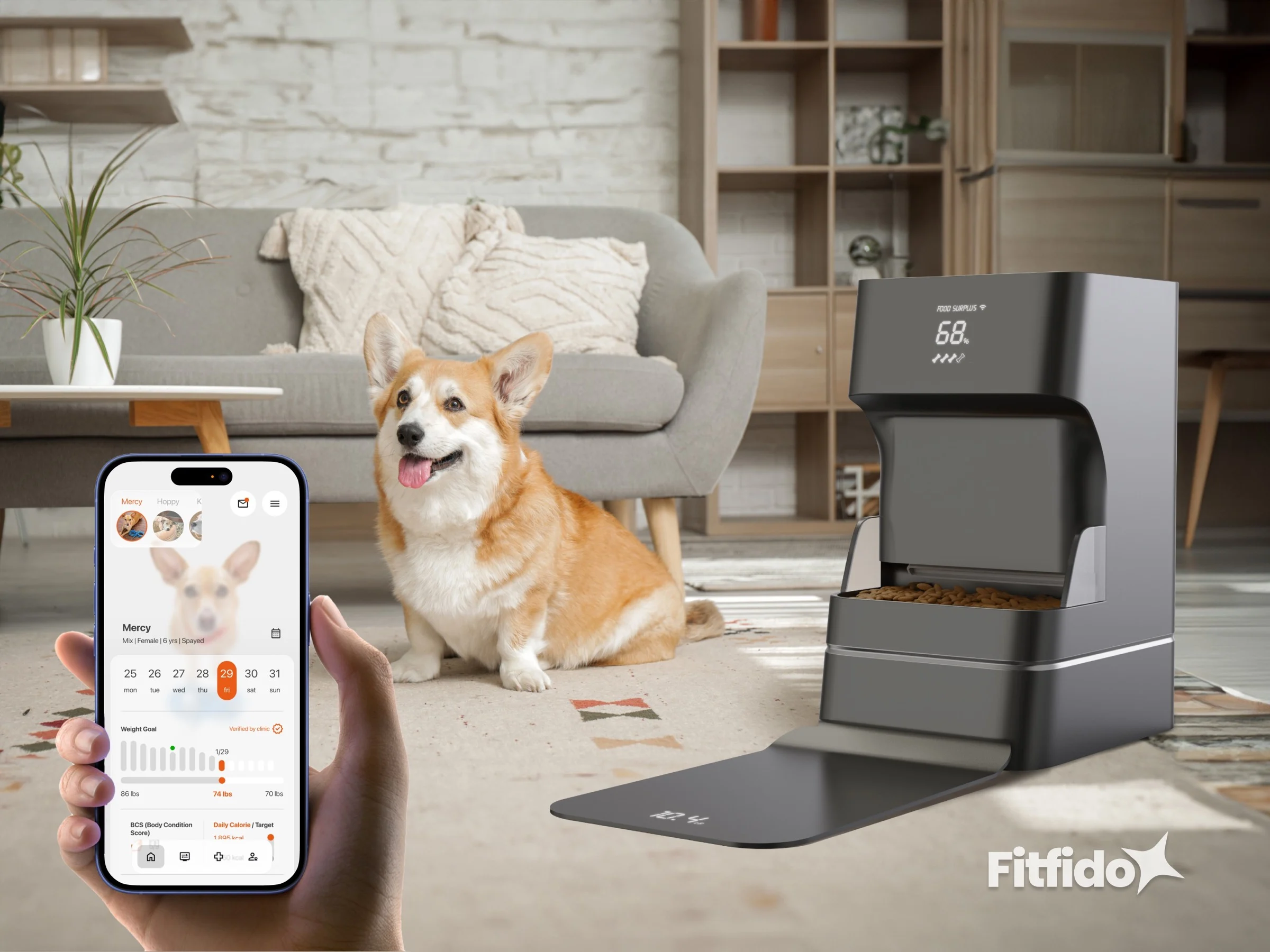 FitFido smart feeder, scale and app in a living room with a corgi.