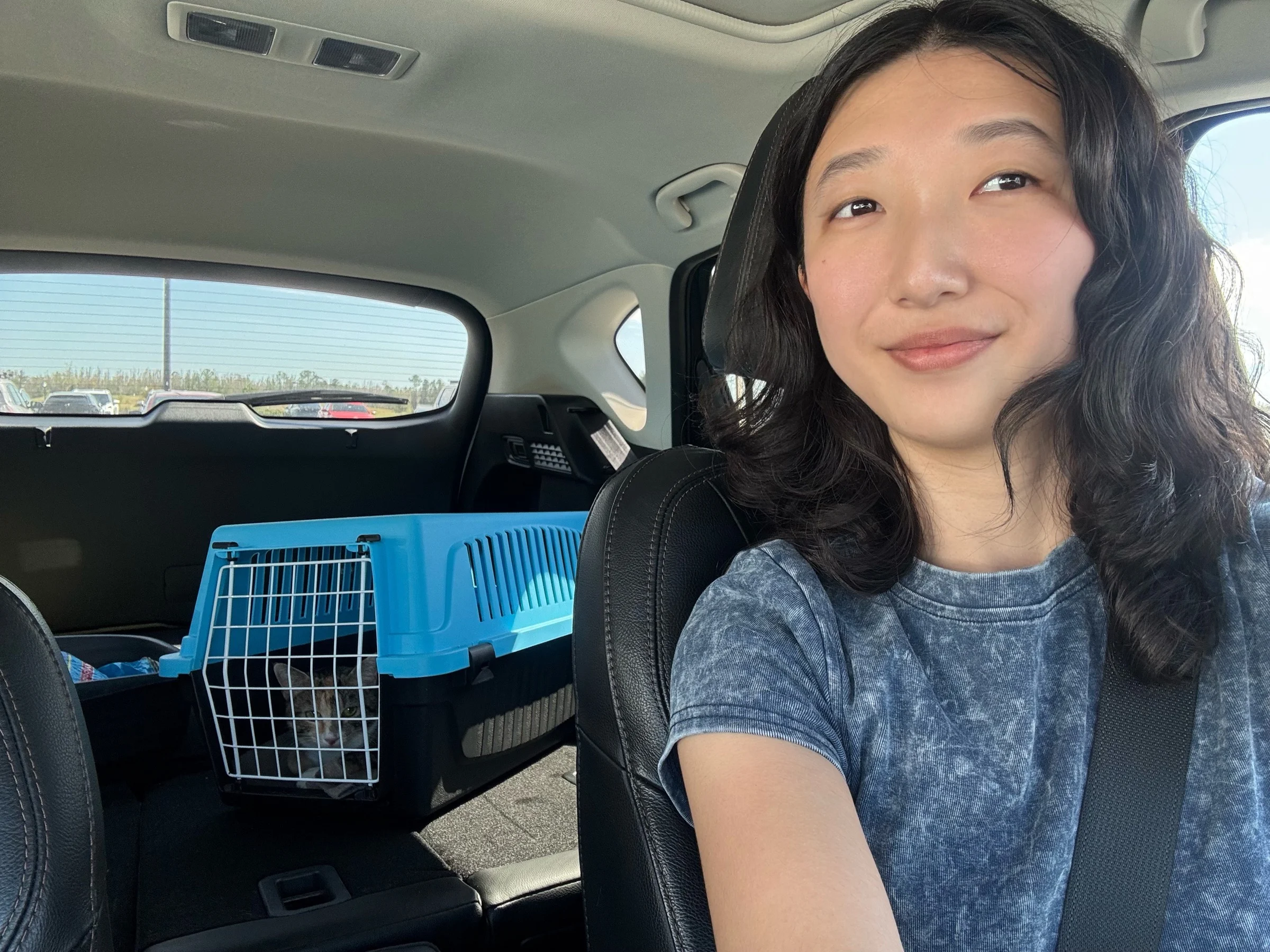 Riley in a car with a foster cat riding in a blue pet carrier.