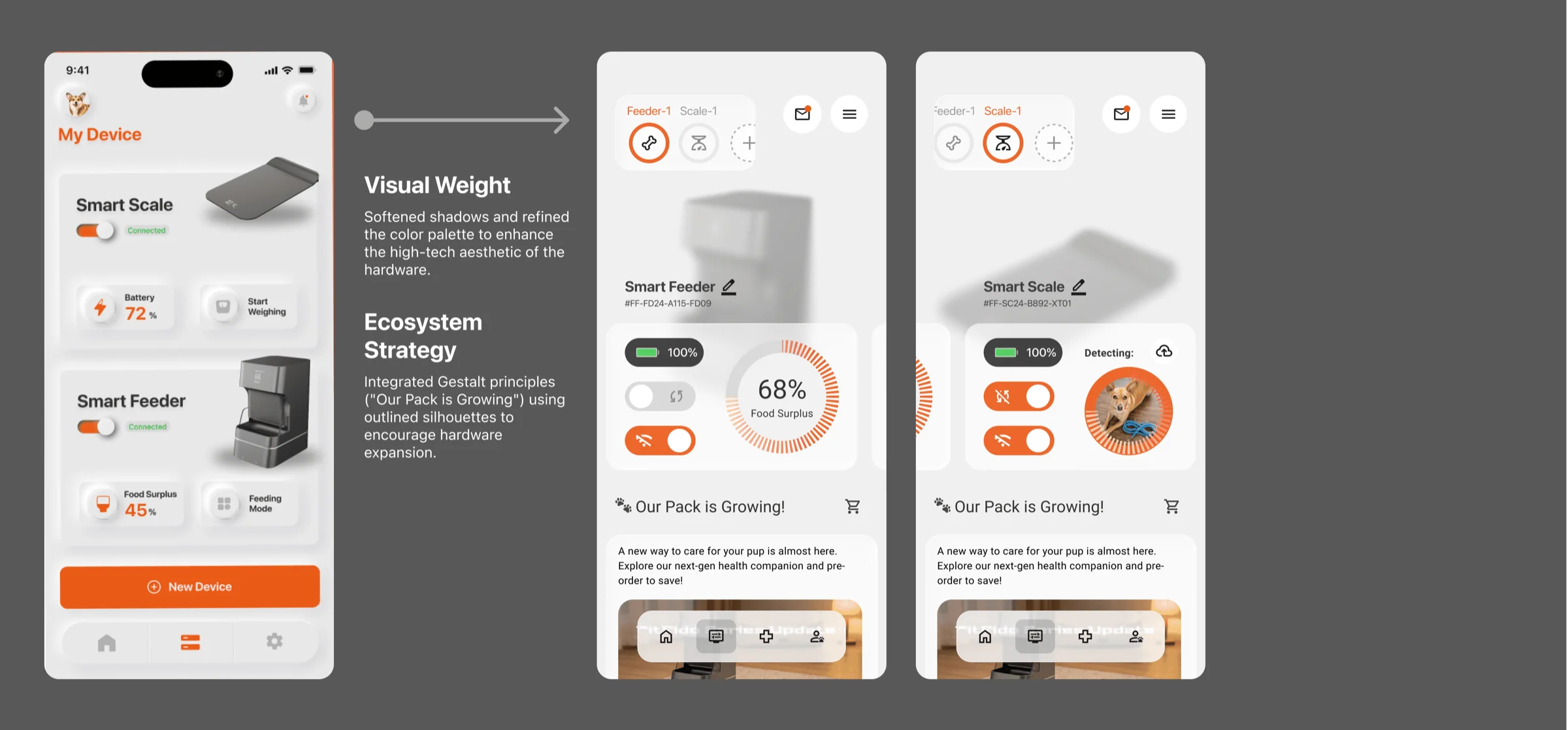 Annotated screens, FitFido app.